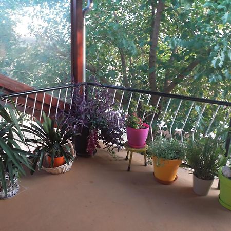 Apartmani Corleone Біліце Екстер'єр фото