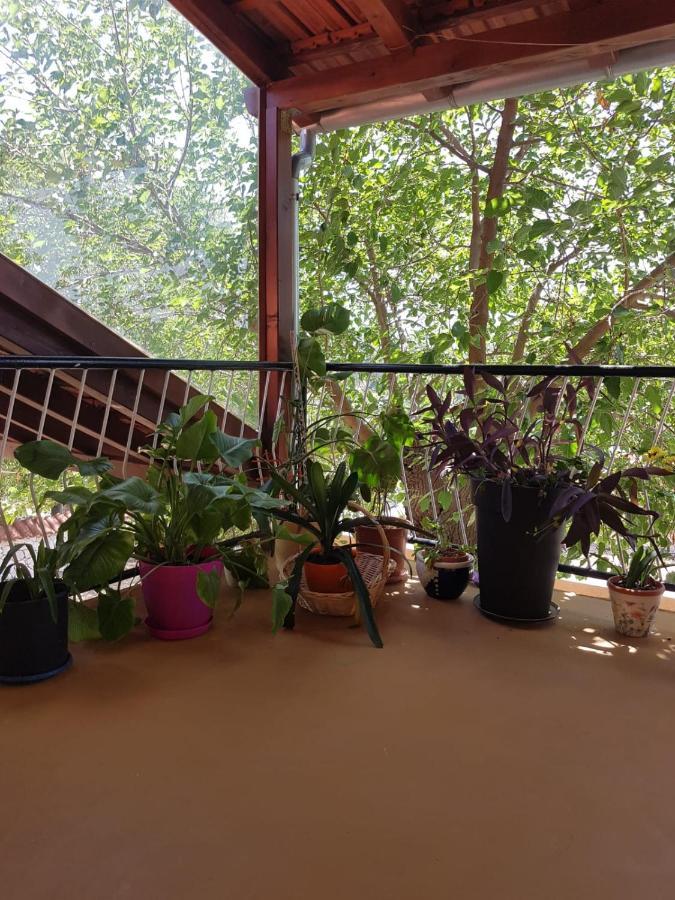 Apartmani Corleone Біліце Екстер'єр фото